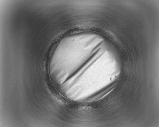 X0000068750543200605121612