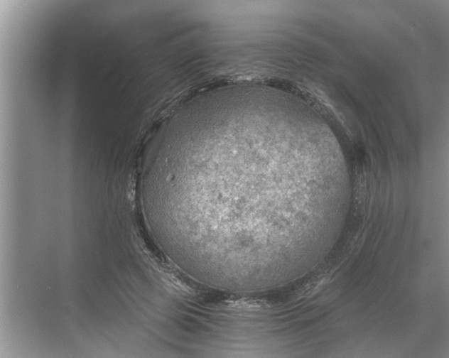 X0000068750545200605121612