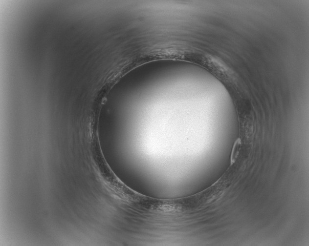 X0000068750546200605121612