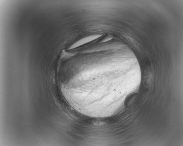 X0000068750547200605121612