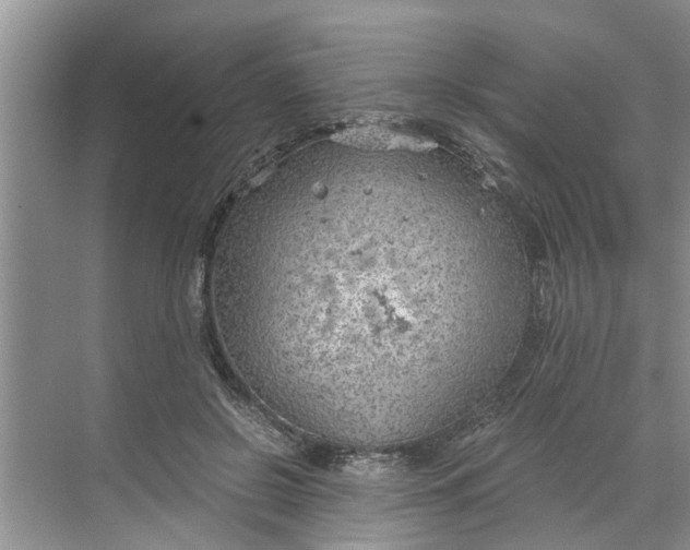 X0000068750550200605121612