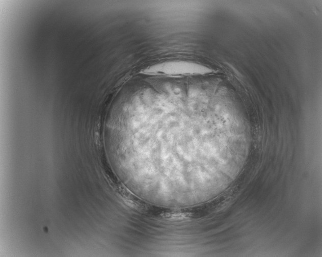 X0000068750553200605121612