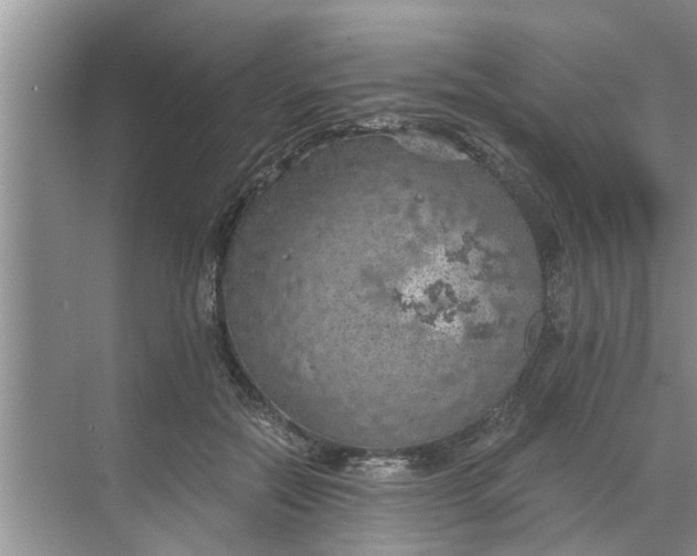 X0000068750554200605121612