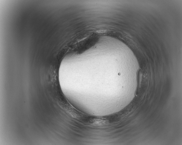 X0000068750555200605121612