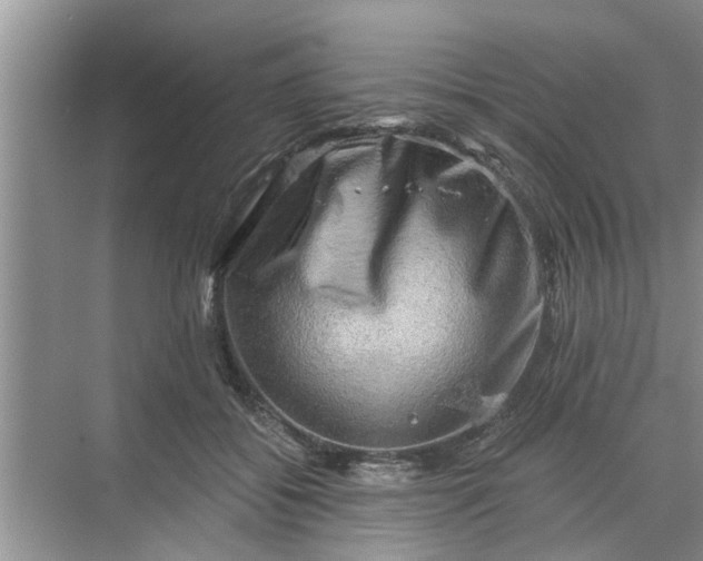 X0000068750556200605121612