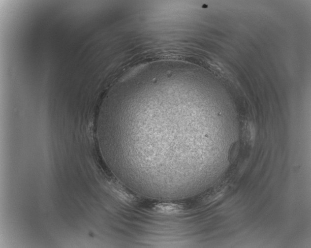 X0000068750557200605121612