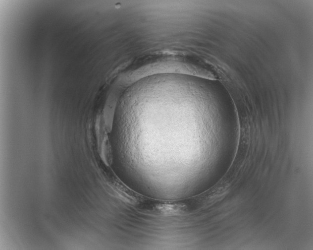 X0000068750558200605121612