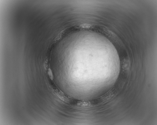 X0000068750559200605121613