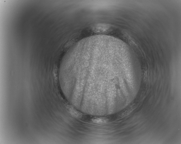 X0000068750561200605121613