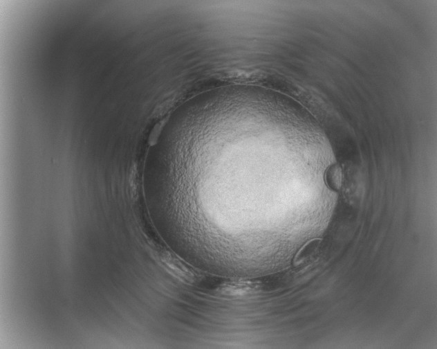 X0000068750563200605121613