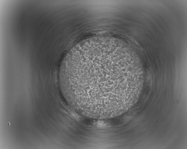 X0000068750565200605121613