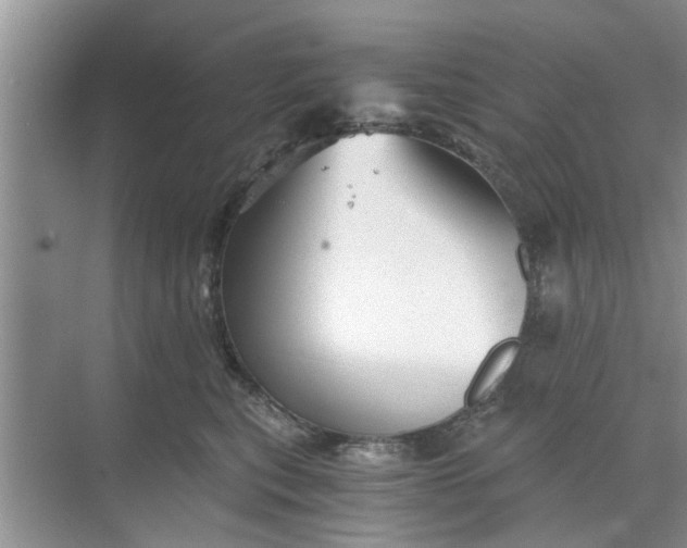 X0000068750567200605121613