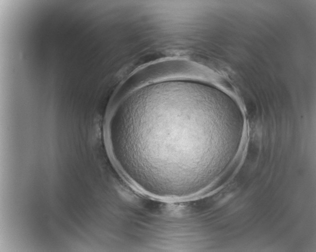 X0000068750570200605121613