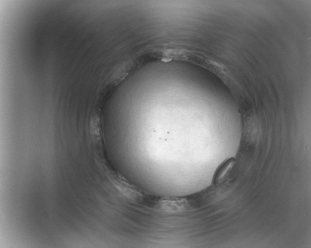 X0000068750571200605121613