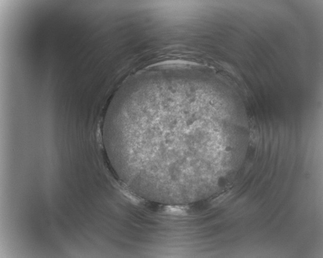 X0000068750573200605121613