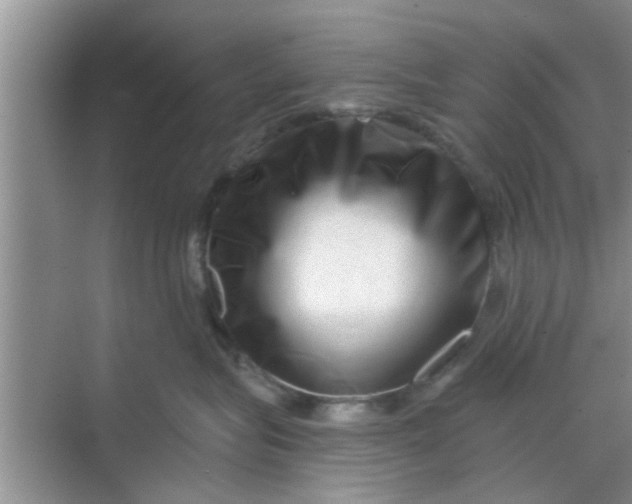 X0000068750575200605121613