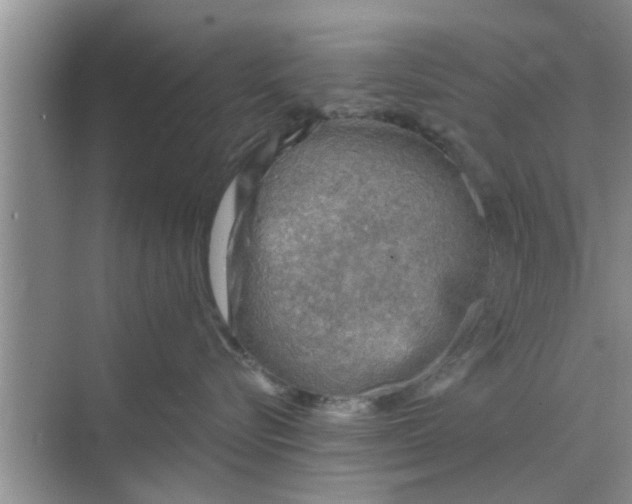 X0000068750576200605121613