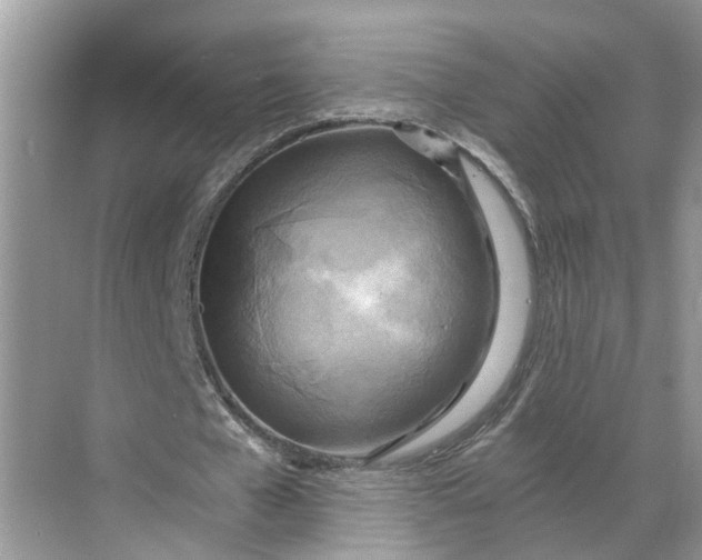 X0000068750577200605121612