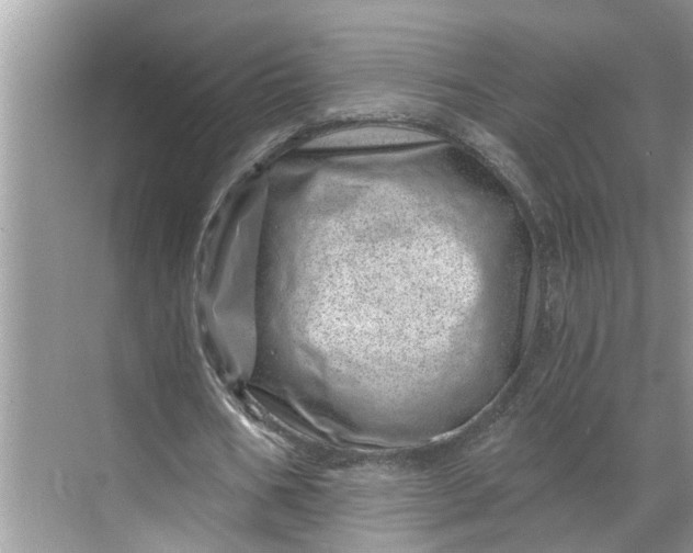 X0000068750578200605121612