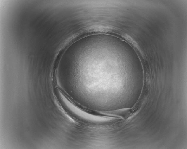 X0000068750581200605121612