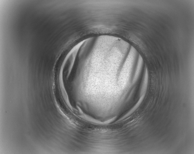 X0000068750582200605121612