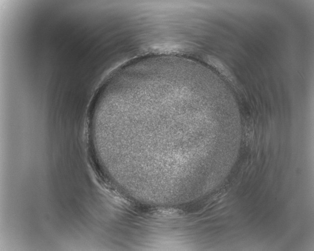 X0000068750583200605121612