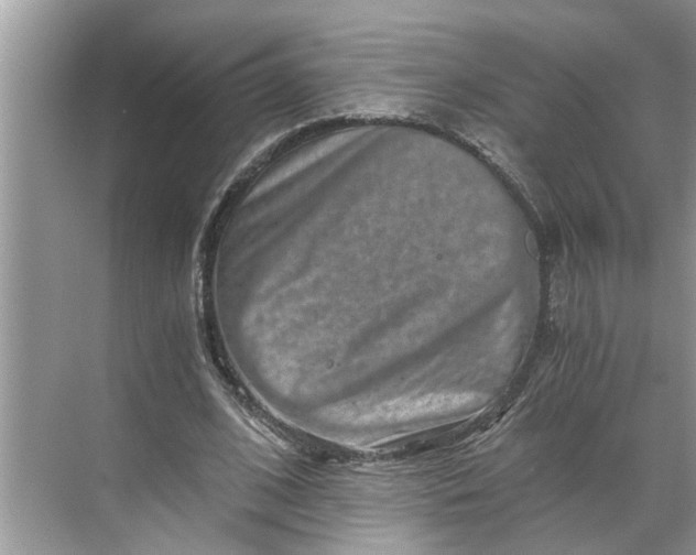 X0000068750584200605121612