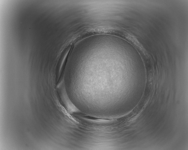 X0000068750585200605121612