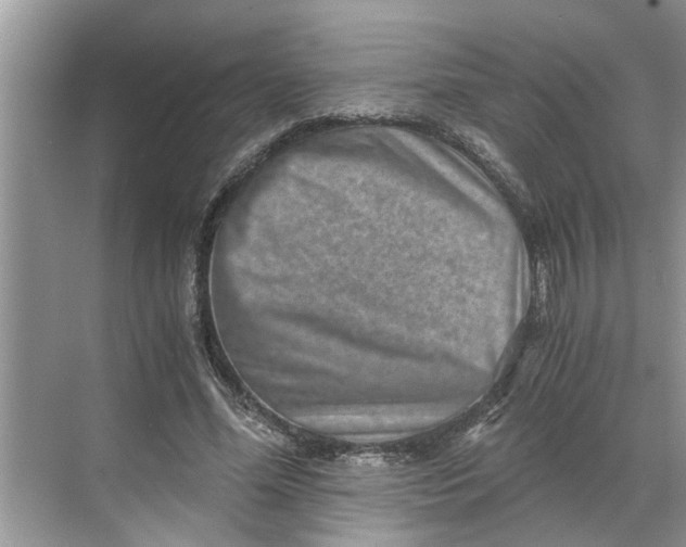 X0000068750588200605121612