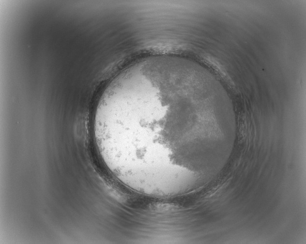 X0000068750590200605121612