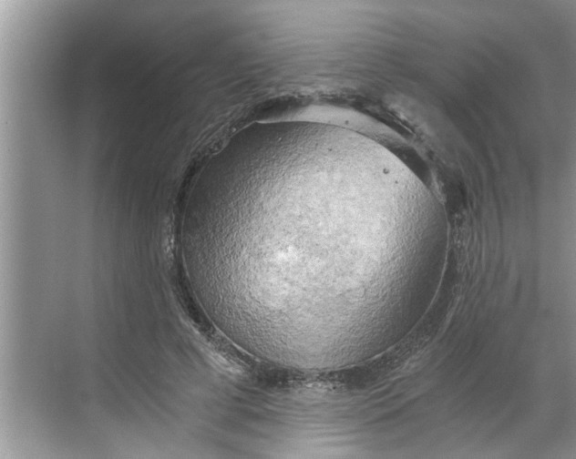 X0000068750593200605121612