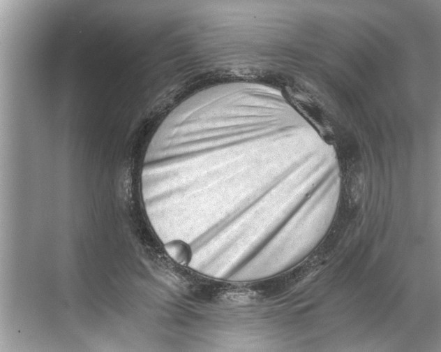 X0000068750595200605121612