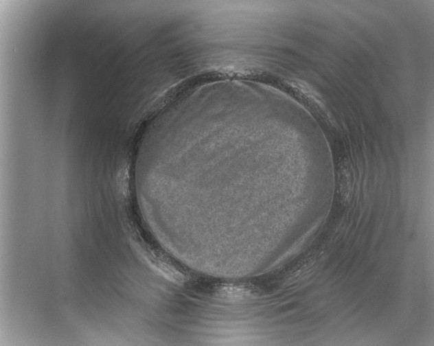 X0000068750596200605121612