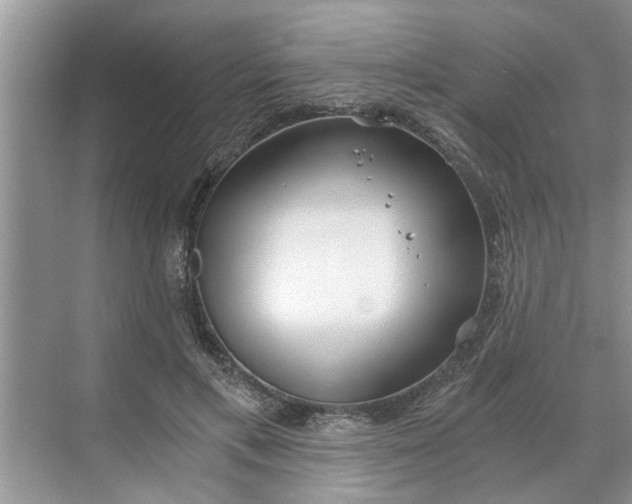 X0000068750597200605121612