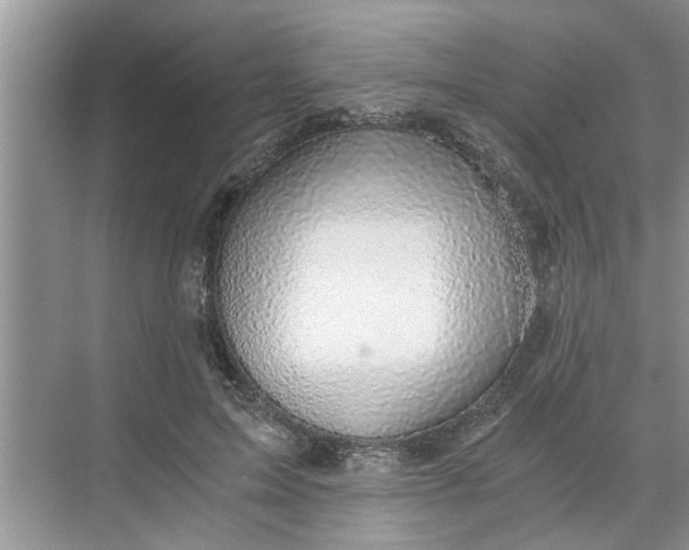 X0000068750599200605121612