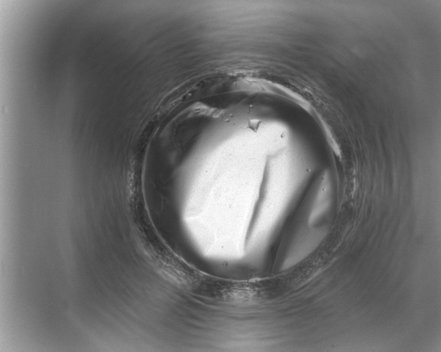 X0000068750600200605121612