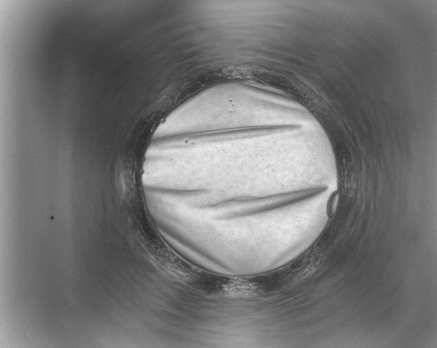 X0000068750603200605121612