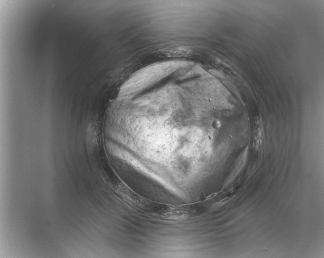 X0000068750604200605121612