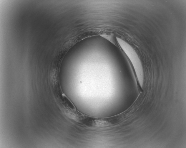 X0000068750605200605121612