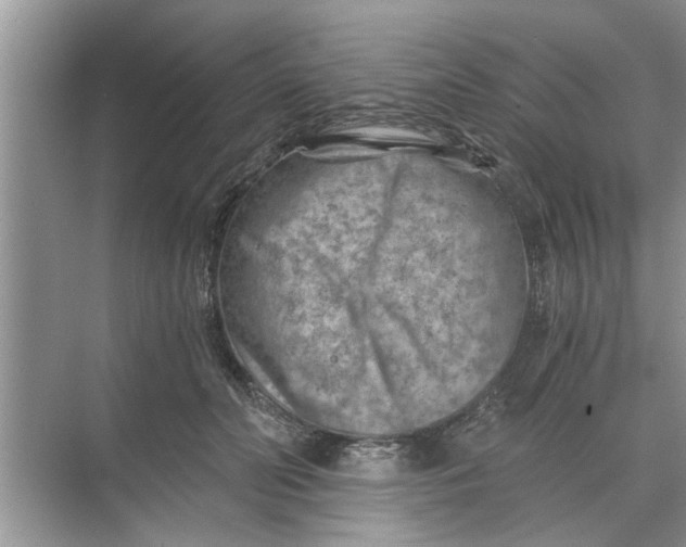 X0000068750606200605121611