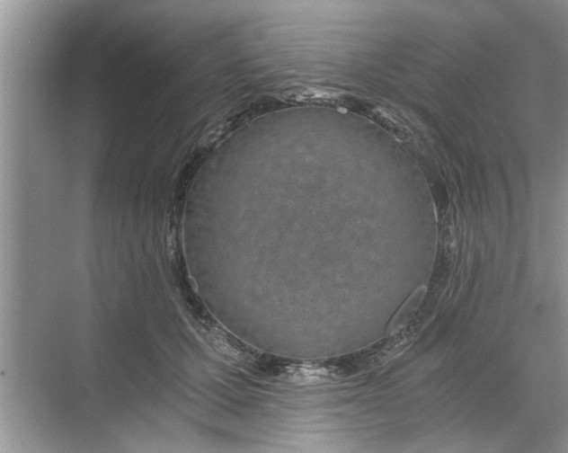 X0000068750607200605121611