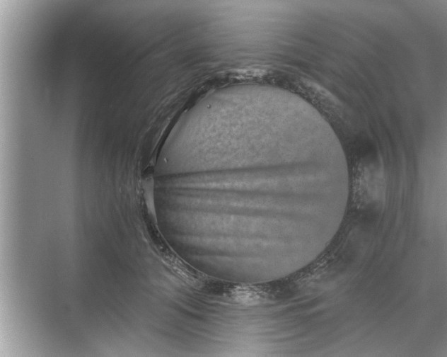 X0000068750608200605121611