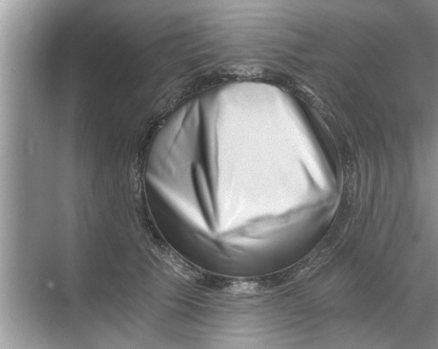 X0000068750609200605121611