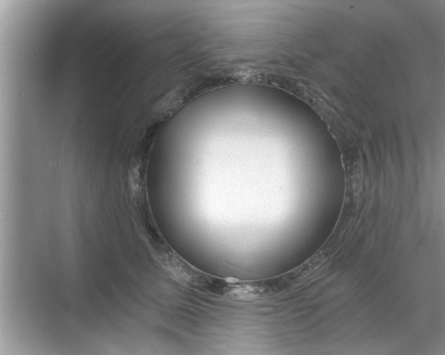 X0000068750611200605121611