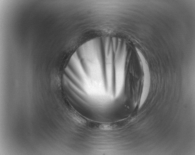 X0000068750613200605121611