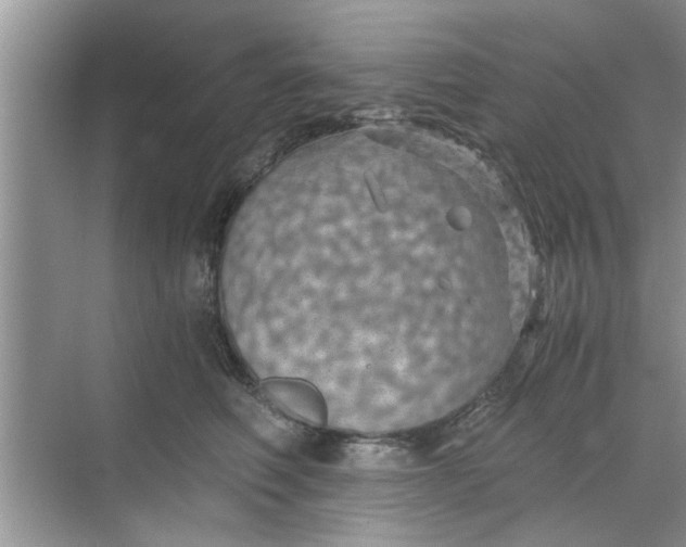 X0000068750614200605121611