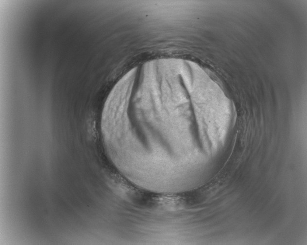 X0000068750615200605121611