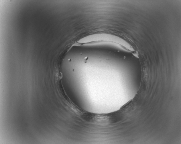 X0000068750617200605121611