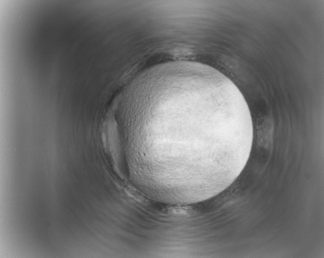 X0000068750618200605121611