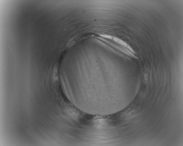 X0000068750620200605121611